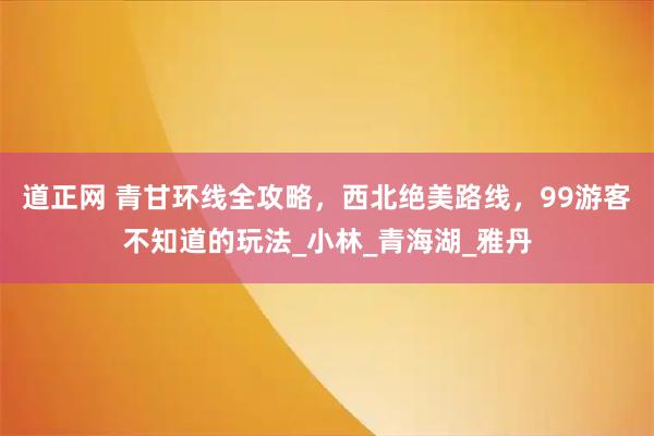 道正网 青甘环线全攻略，西北绝美路线，99游客不知道的玩法_小林_青海湖_雅丹