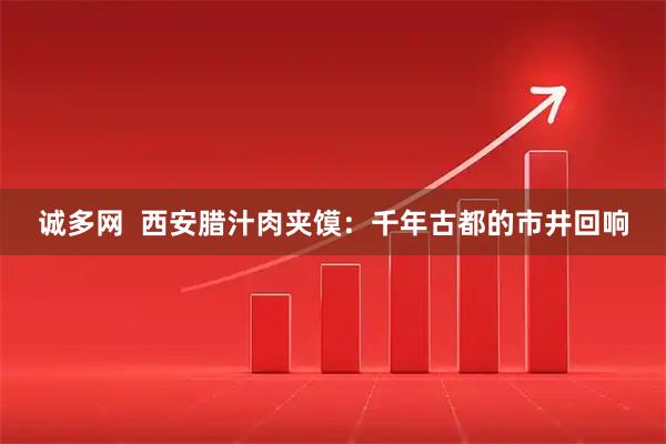 诚多网 西安腊汁肉夹馍:千年古都的市井回响